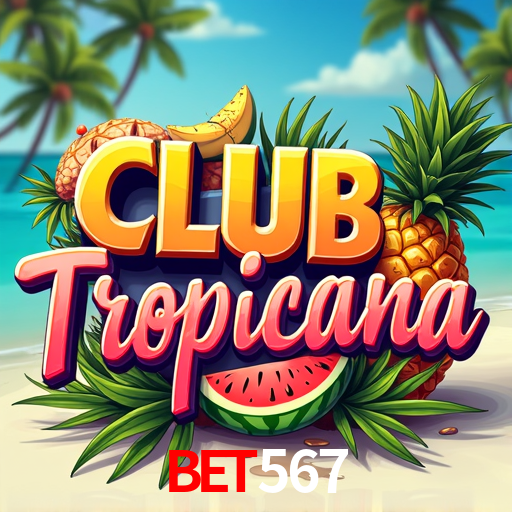 Experiência VIP Bet567